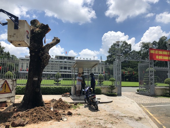 don-cay-lim-xet-truoc-dinh-doc-lap