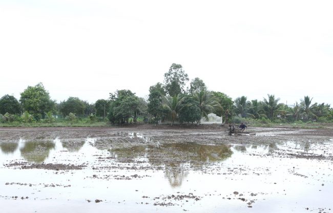 han-han-xam-nhap-man