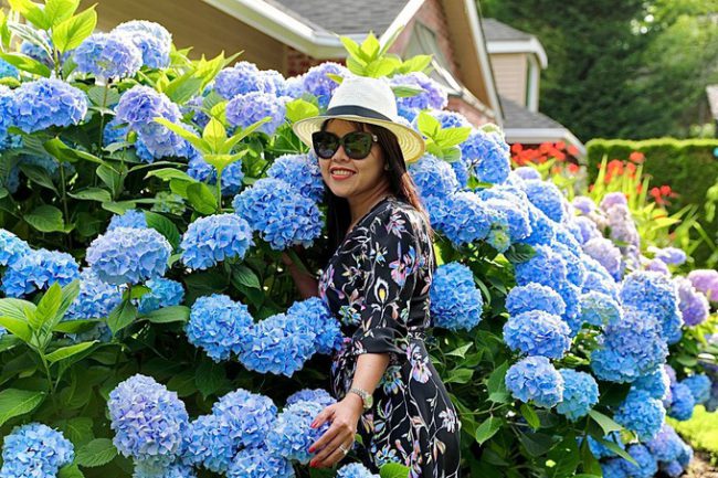 hoi-nhung-nguoi-lam-vuon-viet-o-my