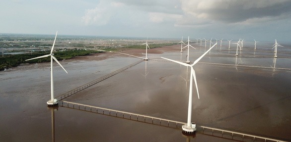 loi-the-ve-phuc-hoi-xanh