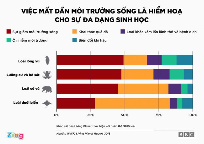 con-nguoi-dang-tan-pha-thien-nhien