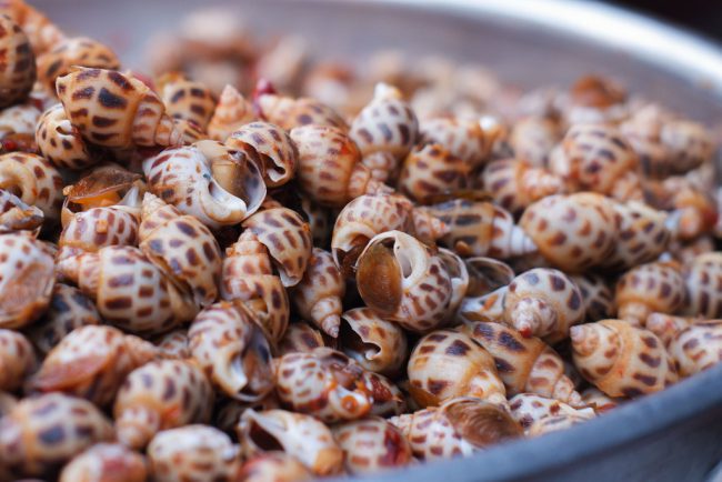 thuong-thuc-huong-vi-oc-3-mien