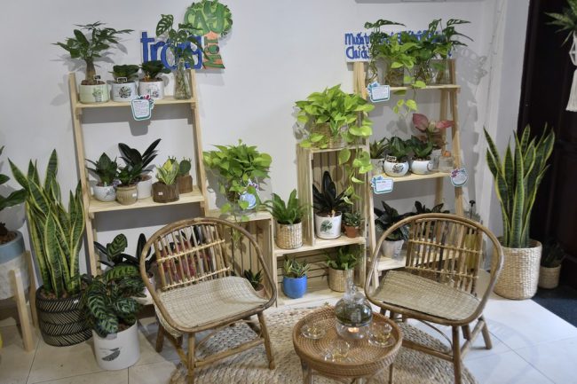 tram-xanh-cho-nguoi-tre-ghe-song-xanh