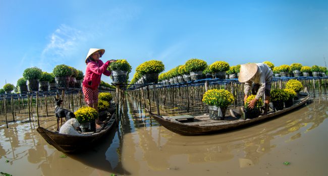 nhung-khoanh-khac-hanh-phuc