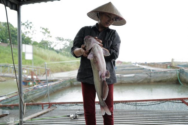 hang-chuc-tan-ca-long-chet