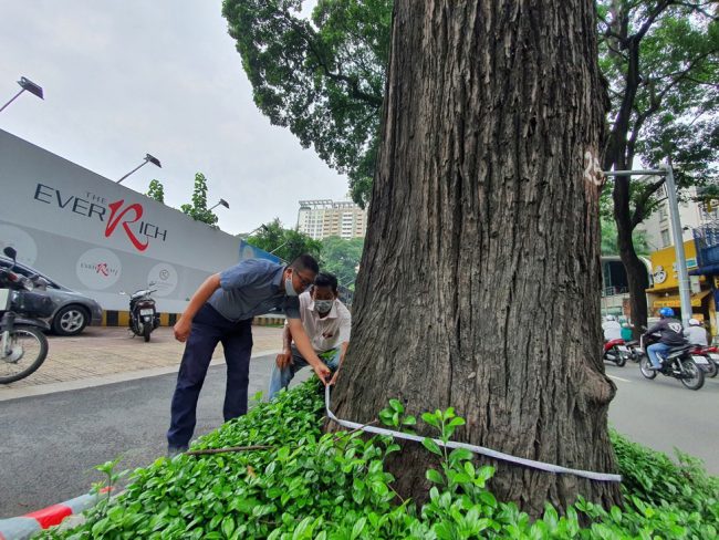 hang-co-thu-tram-nam-o-sai-gon