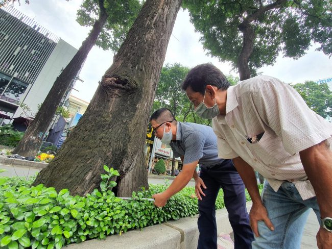 hang-co-thu-tram-nam-o-sai-gon