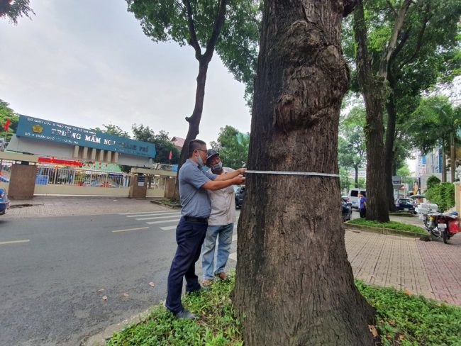 hang-co-thu-tram-nam-o-sai-gon