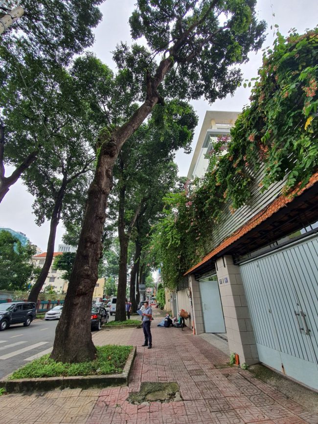 hang-co-thu-tram-nam-o-sai-gon