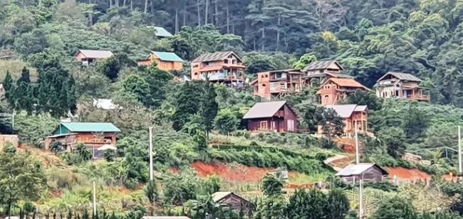 lang-biet-thu-trai-phep-tren-dat-rung