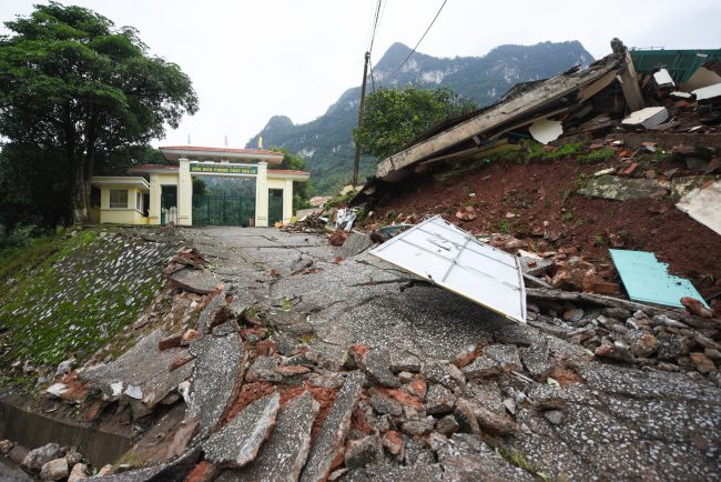 lu-lut-nguoi-ta-moi-thay-nho-rung