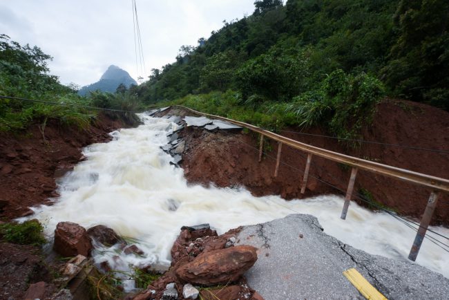 lu-lut-nguoi-ta-moi-thay-nho-rung