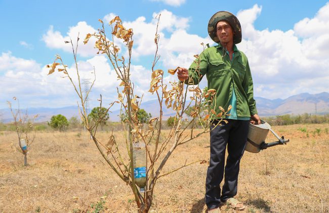 han-han-o-ninh-thuan