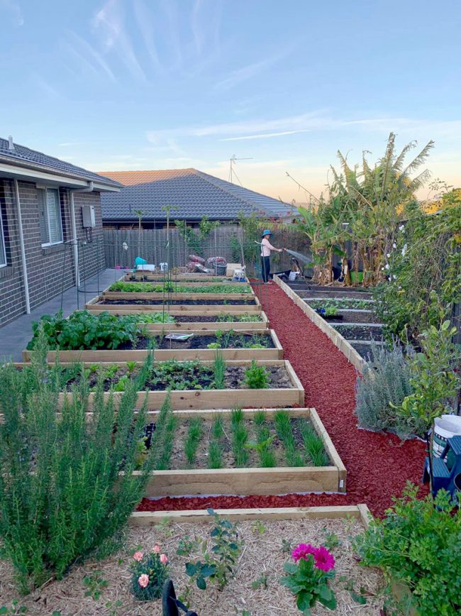 quay-rau-cua-co-gai-viet-o-uc