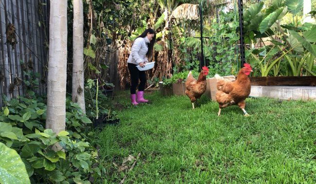 quay-rau-cua-co-gai-viet-o-uc