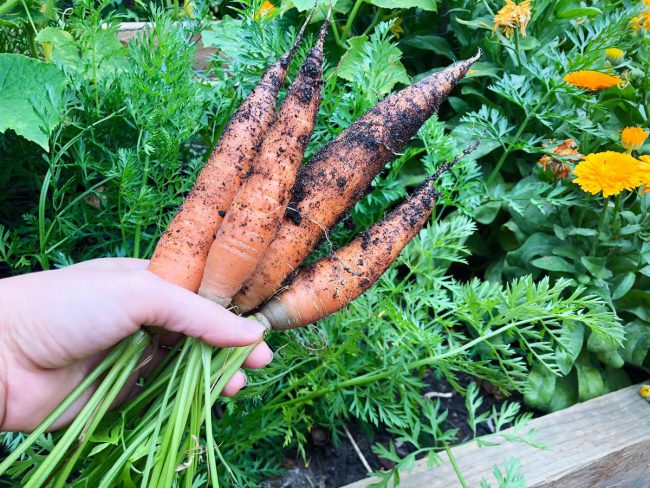 quay-rau-cua-co-gai-viet-o-uc