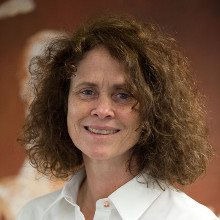 ven-bien-viet-nam-de-bi-ton-thuong