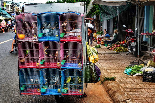 nhung-khoanh-khac-hanh-phuc