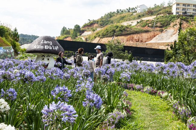 nhung-khoanh-khac-hanh-phuc