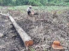 nong-san-moi-nong-thon-moi