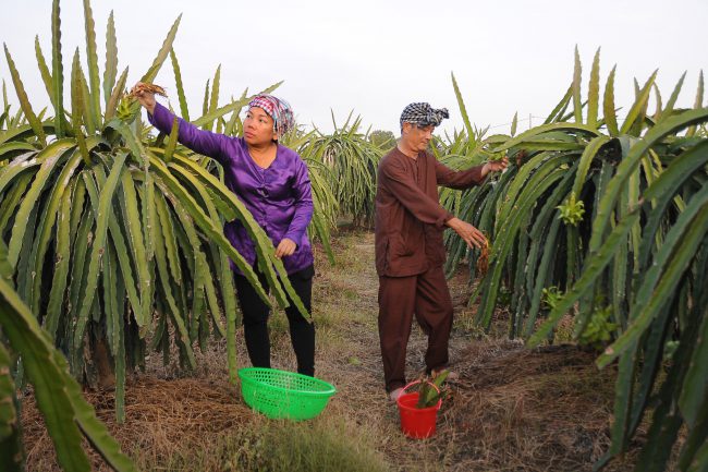 nhung-khoanh-khac-hanh-phuc