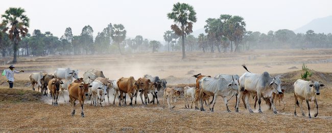 nhung-khoanh-khac-hanh-phuc