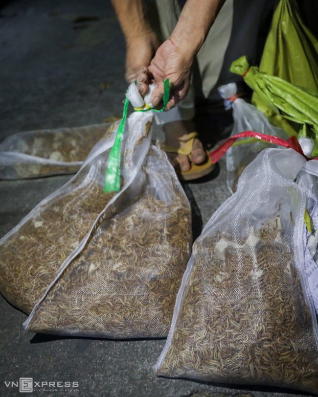 cho-dem-ban-con-trung-o-sai-gon