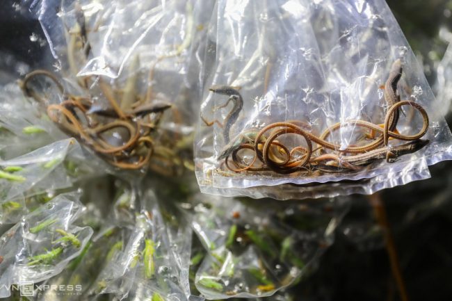 cho-dem-ban-con-trung-o-sai-gon