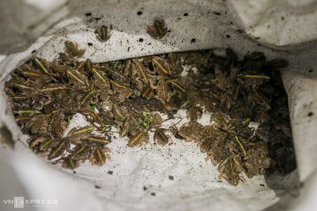 cho-dem-ban-con-trung-o-sai-gon