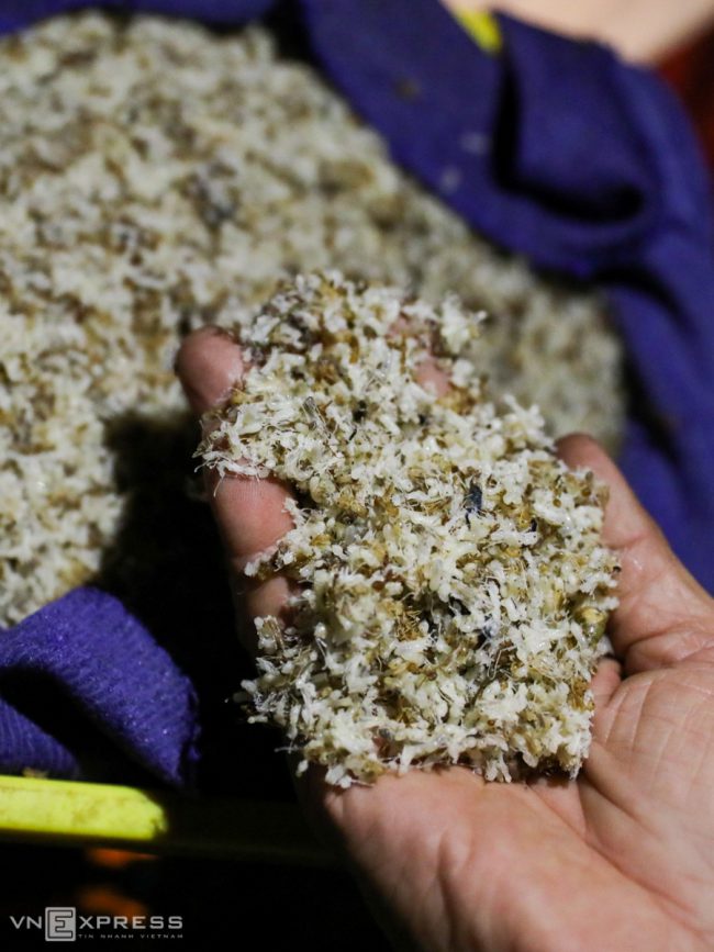 cho-dem-ban-con-trung-o-sai-gon