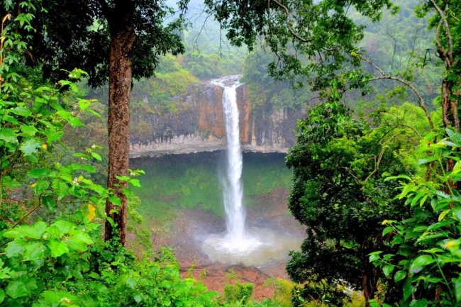 viet-nam-huong-den-moi-truong-xanh
