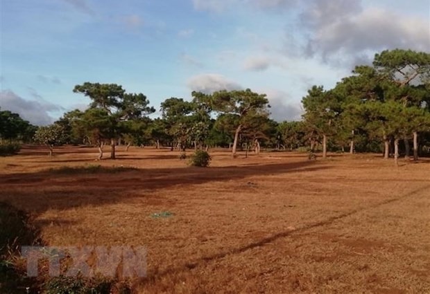 7-nhiem-vu-cap-bach-cho-nganh-tai-nguyen-moi-truong-trong-nam-2021