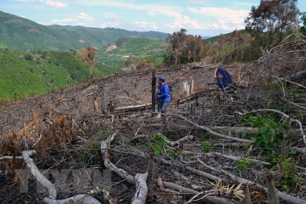 quan-ly-rung-phong-ho