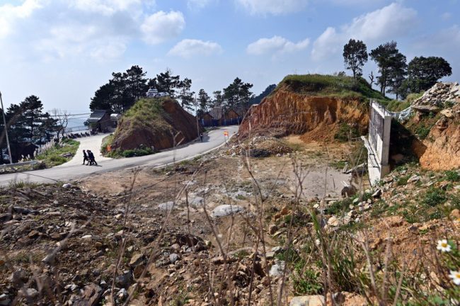 rung-be-tong-tren-nui-tam-dao