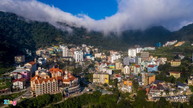 rung-be-tong-tren-nui-tam-dao