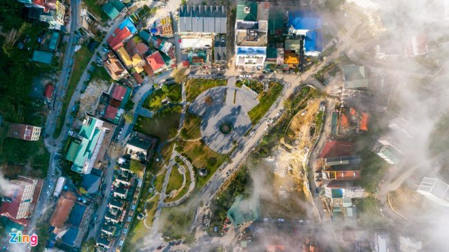 rung-be-tong-tren-nui-tam-dao