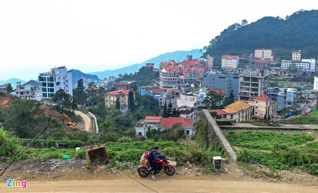 rung-be-tong-tren-nui-tam-dao