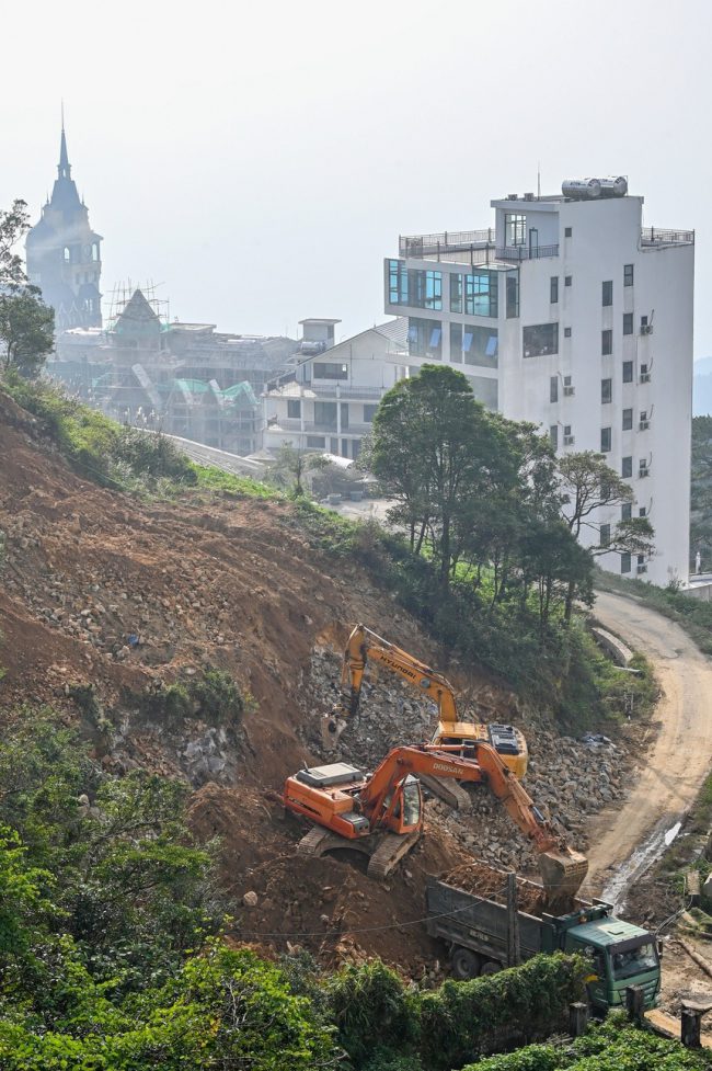 rung-be-tong-tren-nui-tam-dao