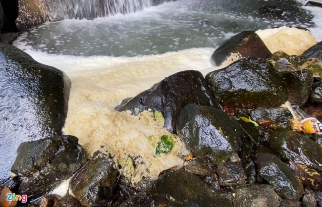 rung-be-tong-tren-nui-tam-dao