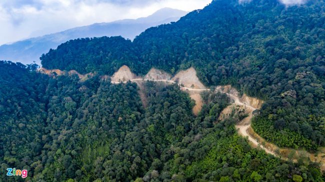 rung-be-tong-tren-nui-tam-dao