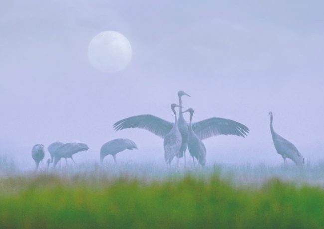 khi-dan-seu-chang-tro-ve