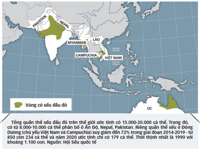 khi-dan-seu-chang-tro-ve