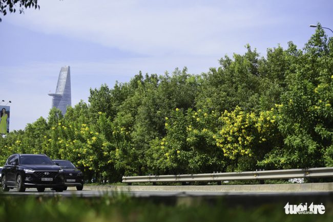 duong-pho-sai-gon-ro-sac-hoa