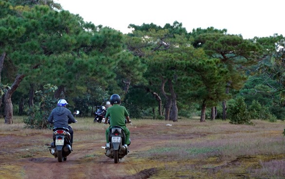 rung-thong-dak-doa-thanh-san-golf