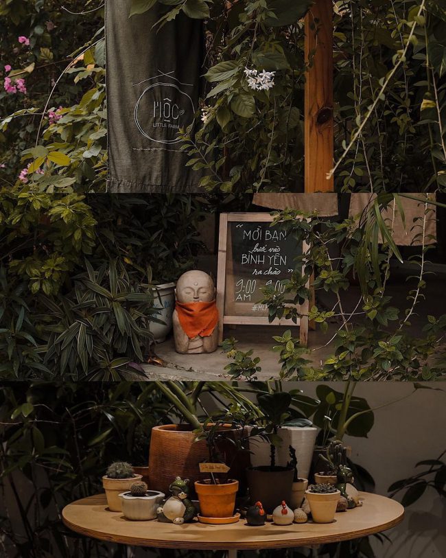 3-quan-ca-phe-co-khong-gian-xanh-mat-giua-sai-thanh