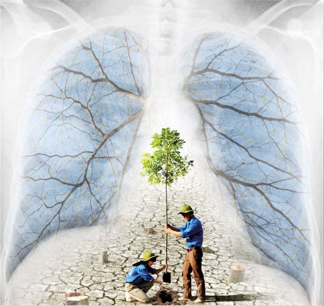 luat-bao-ve-moi-truong