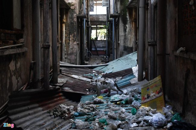 song-thap-thom-trong-chung-cu-cu-o-tphcm