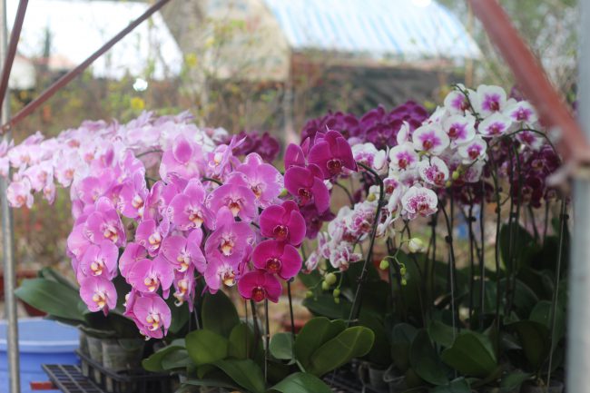 goc-chia-se-thu-phuong-xa