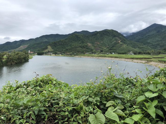 ta-dai-ta-tim-noi-vang-ve