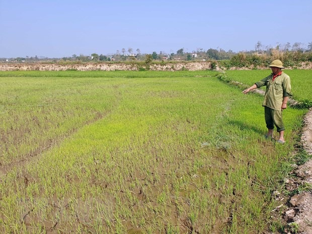 cong-trinh-chong-han-hon-325-ty-dong-o-dak-nong